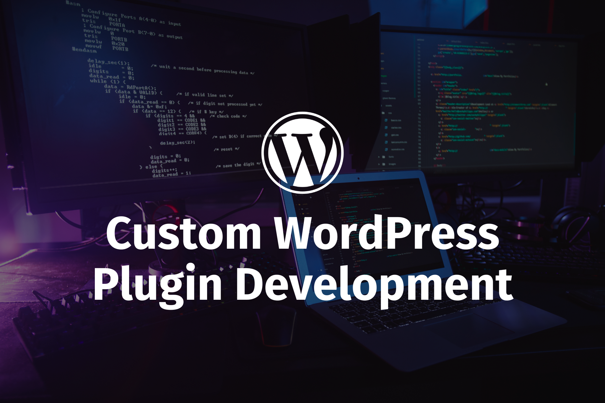 Custom WordPress Plugin Development