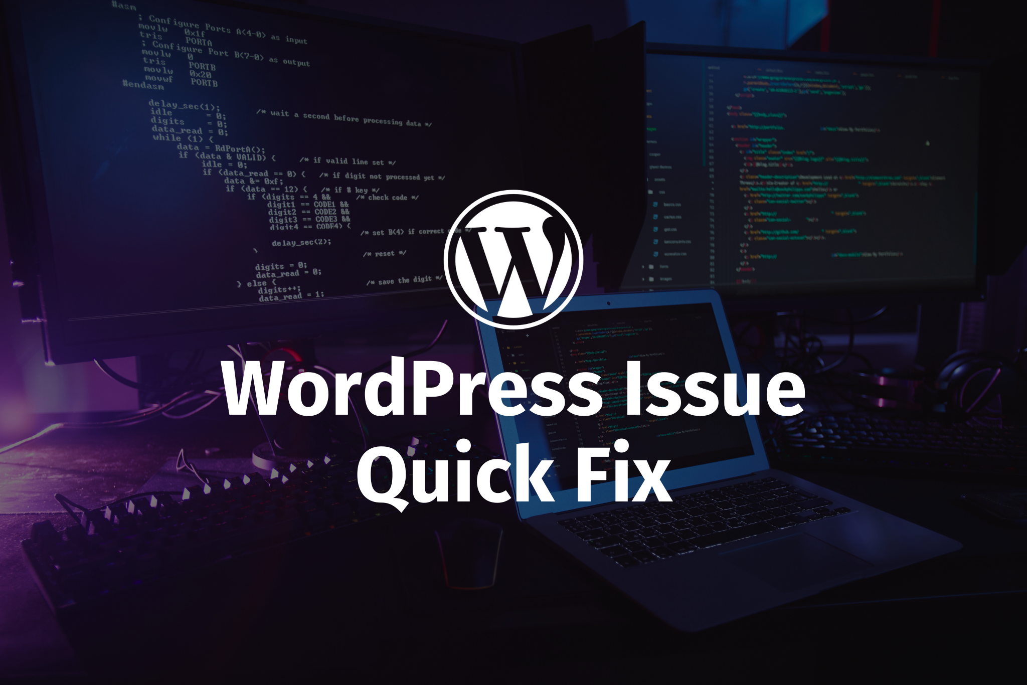 WordPress Issue Quick Fix